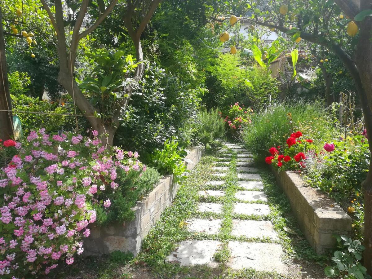 Il Vialetto Dei Limoni Bed and Breakfast Vico Equense Εξωτερικό φωτογραφία